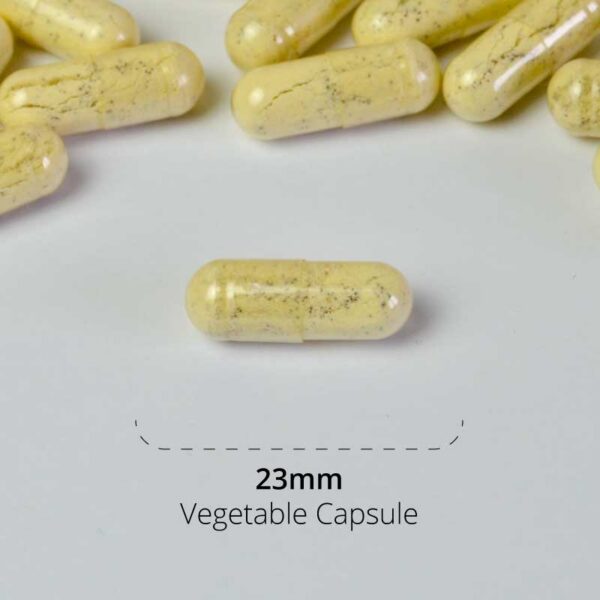 Active Life Capsule