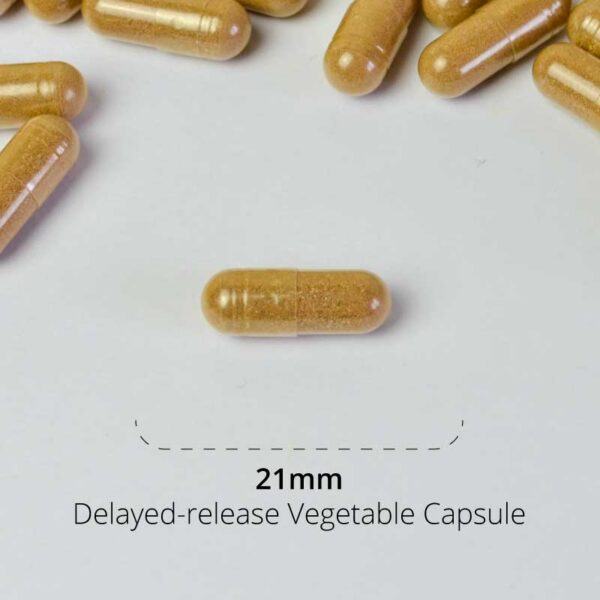 Blockbuster All Clear Capsule