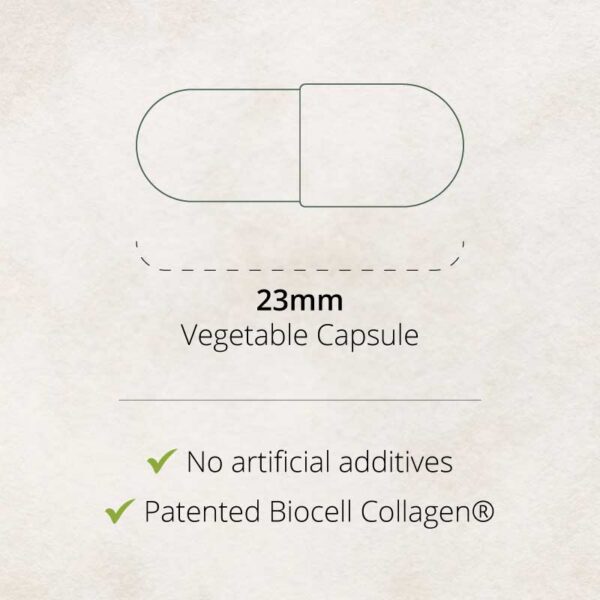 Joint & Skin Matrix Capsule