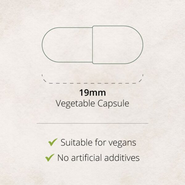 Lithium Balance Capsule