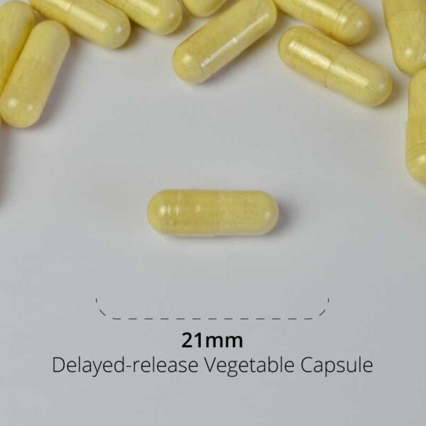 Nattokinase Capsule