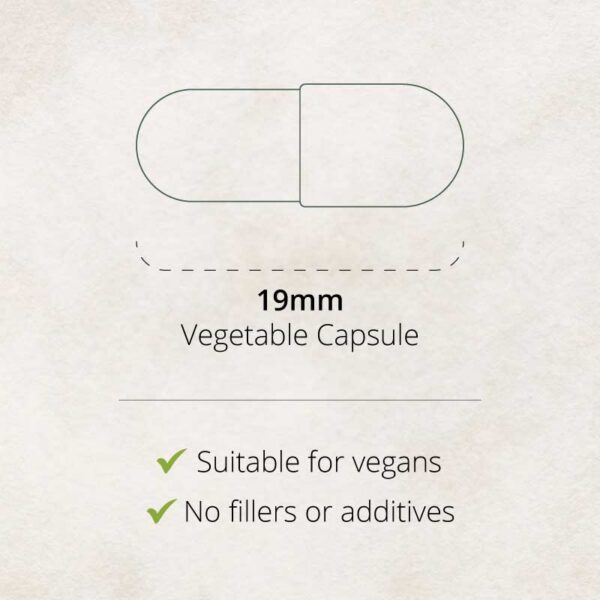 Probiotic 14 Capsule