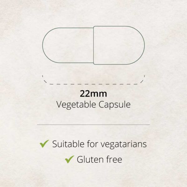 Prostate Plus Capsule