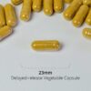 Pumpkin Seed Extract Capsule