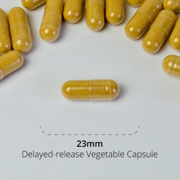 Pumpkin Seed Extract Capsule