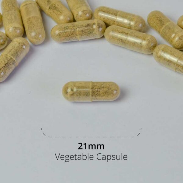 ReFocus Capsule