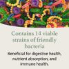 Contains 14 viable strains of friendly bacteria